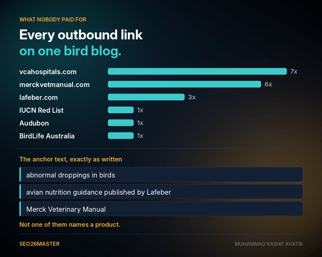Chart of all outbound links on one bird blog with destination counts and the three anchor texts used